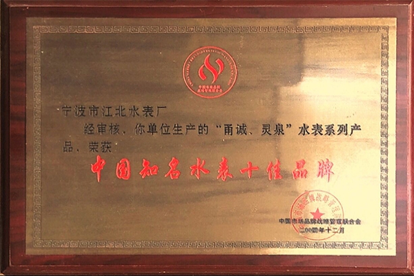 中國知名水表十佳品牌